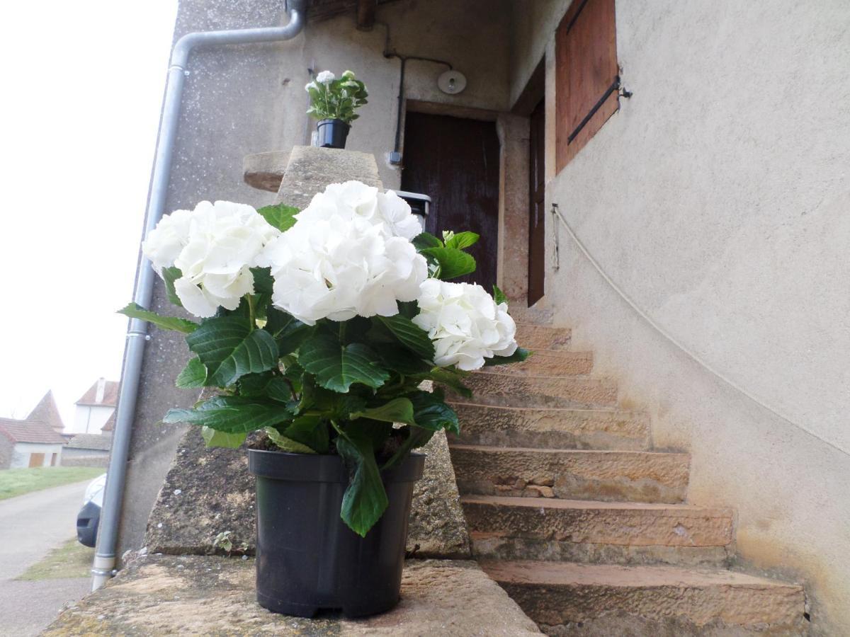 La Chapelle-sous-Brancion Les Marronniers B&B 외부 사진